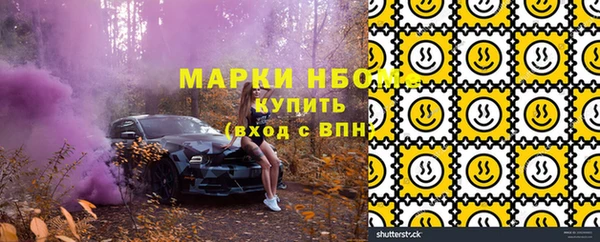 сатива Козельск