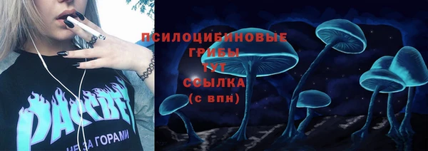 таблы Козловка