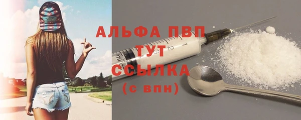 сатива Козельск