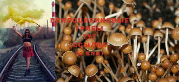 сатива Козельск