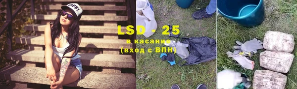 сатива Козельск