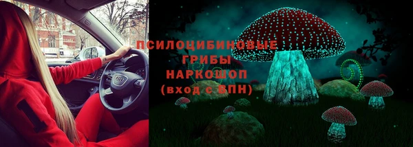 таблы Козловка
