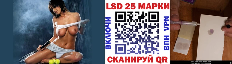 Купить закладки  Елизово  Наркотические марки 1500мкг 