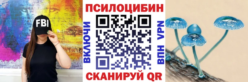 Галлюциногенные грибы Psilocybe  Купить закладки  Елизово 